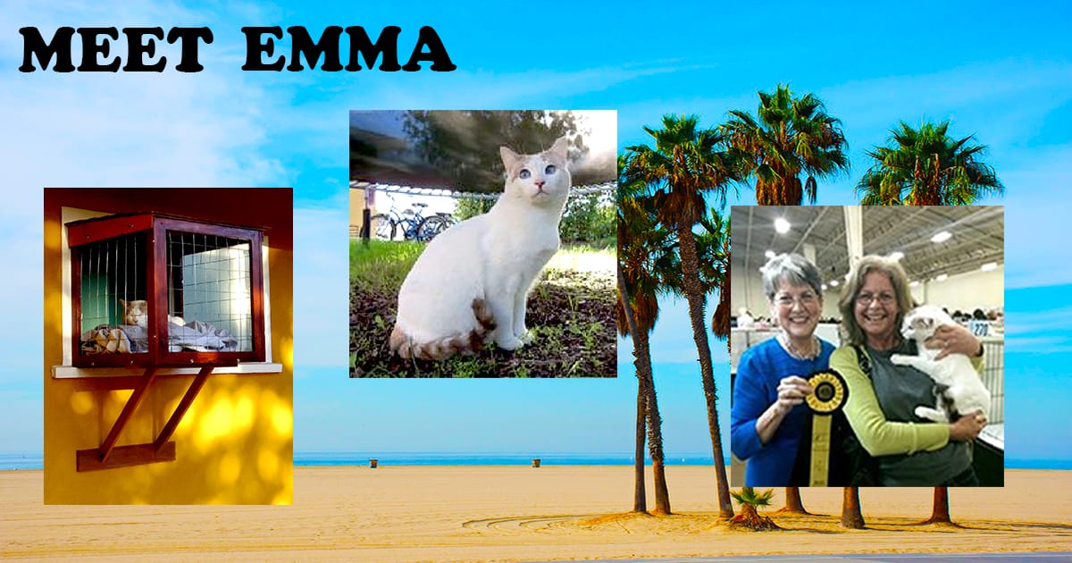 You are currently viewing MEET EMMA