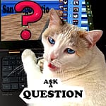 https://sandiegocatio.com/window-box-question-form/