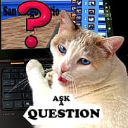 https://sandiegocatio.com/window-box-question-form/
