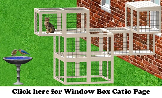 Window-Box-catio